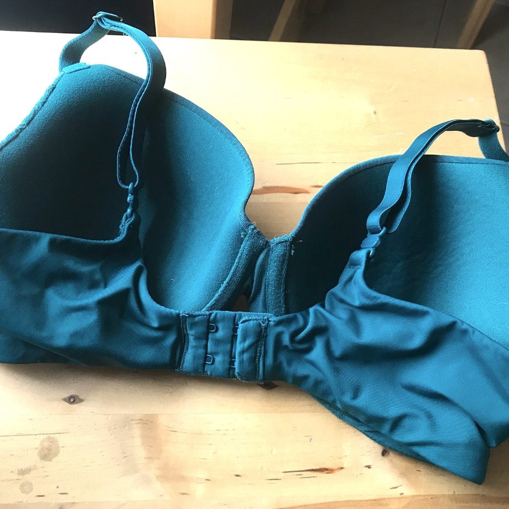 Lightly Padded, Lace Green, The Icon Bra from Arden 34C - Picture 3 of 3